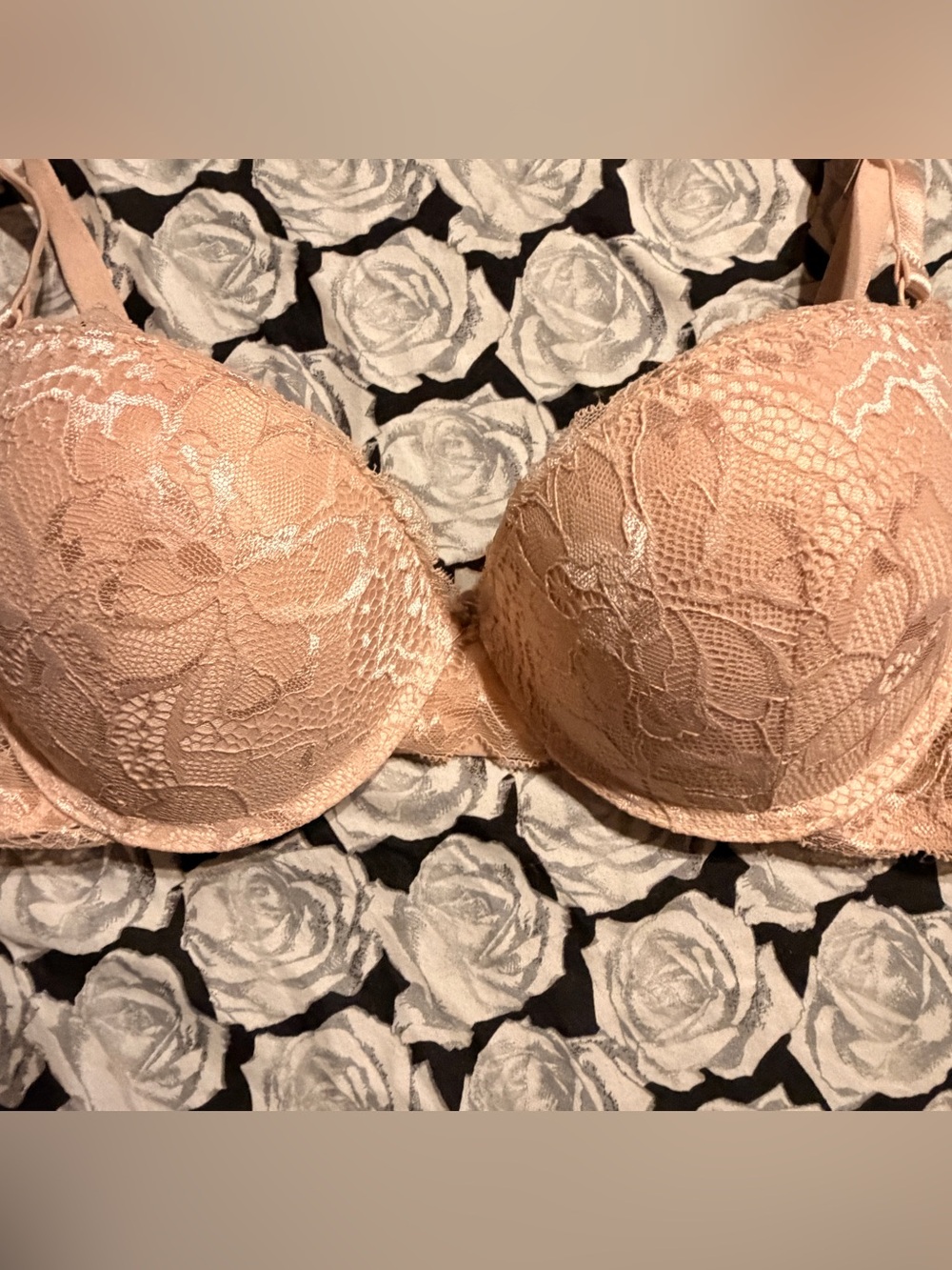 34C Bra Bundle Underwire Lined Pink Lace Bra Red T-Shirt Bra Prima Valentina